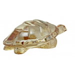 Статуэтка "Черепаха Caroline" золотая Lalique