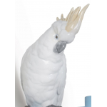 Крючок настенный "Попугай" Lladro