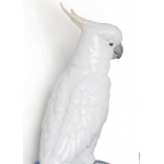 Крючок настенный "Попугай" Lladro