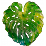 Аппликация "Monstera" Daum