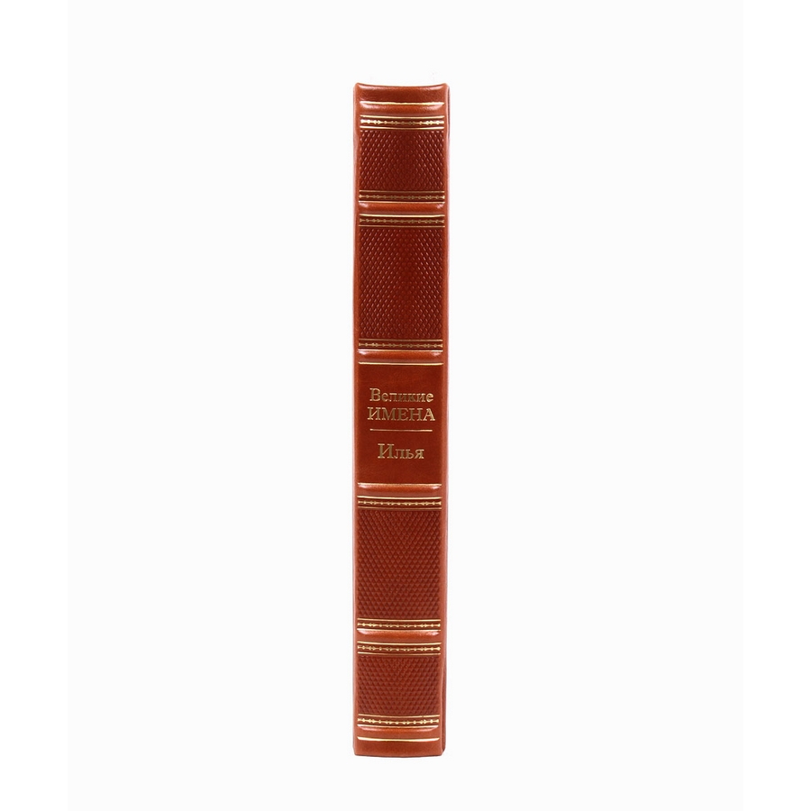 Книга Илья (Великие имена)