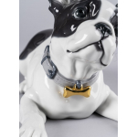 Статуэтка "Французский бульдог с макарунами" Lladro