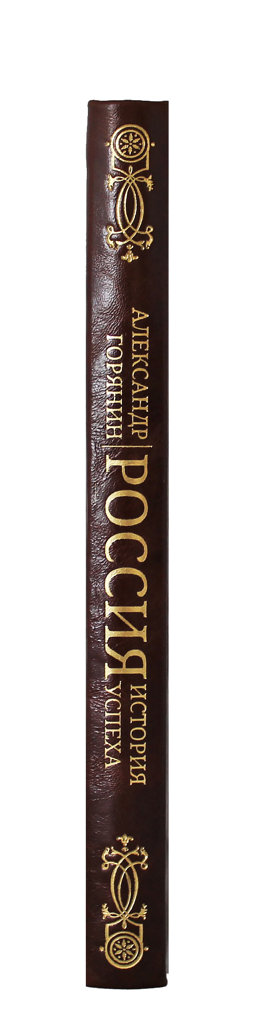 Книга "Россия: история успеха"