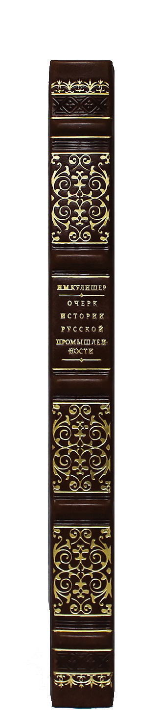 Книга "Очерк по истории русской промышленности"