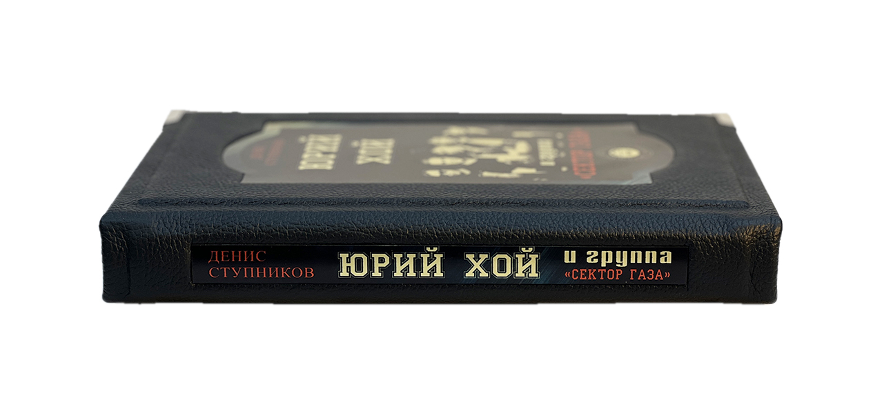 Книга Юрий Хой и группа "Сектор Газа"